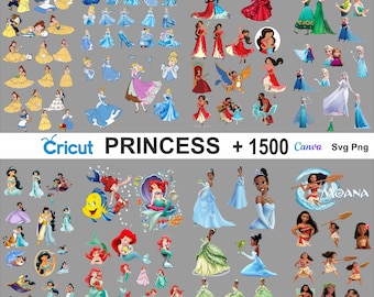 Pacchetto di clipart PNG principessa, carta digitale principessa PNG, decorazioni per il compleanno della principessa, png Frozen, clipart di Biancaneve, la bella addormentata, png di Moana