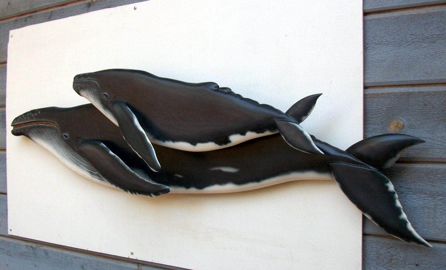 Whale wall decor wall hangings 48'' wood carving Etsy