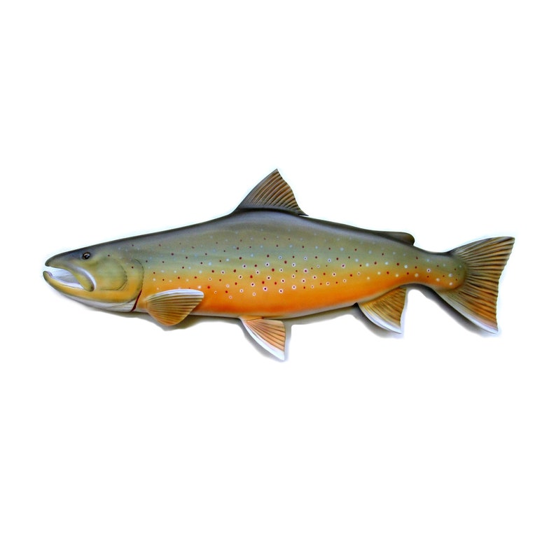 peche truite 27