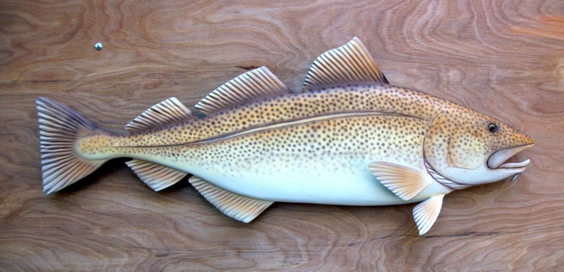 Atlantic Cod fish wood carving 30'' home decor wall Etsy