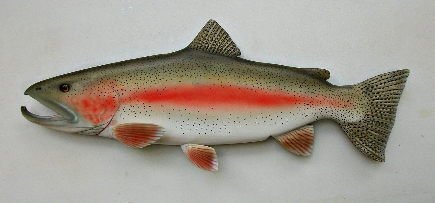 STEELHEAD TROUT wood carving 27'' Art sculpture Etsy