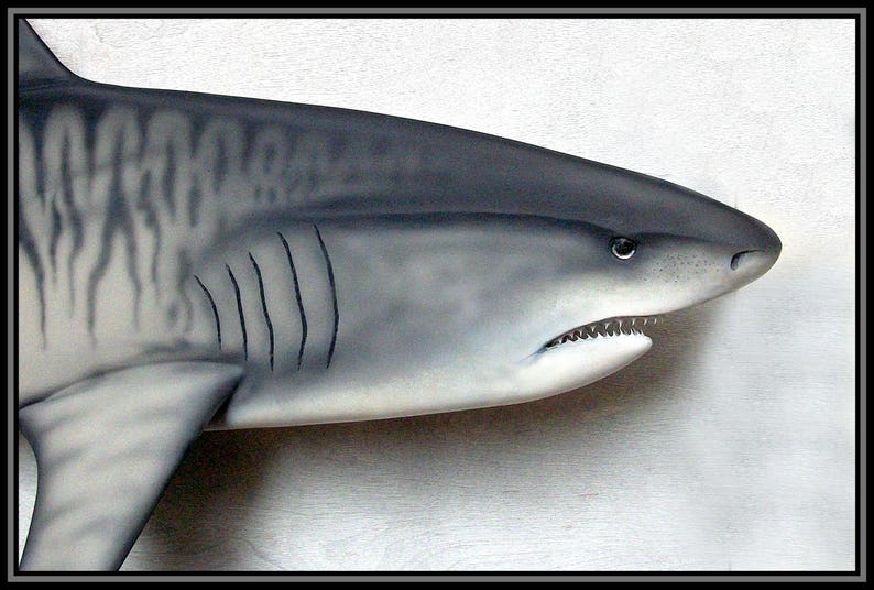 Tiger Shark art sculpture wood carving wall art fishing Etsy