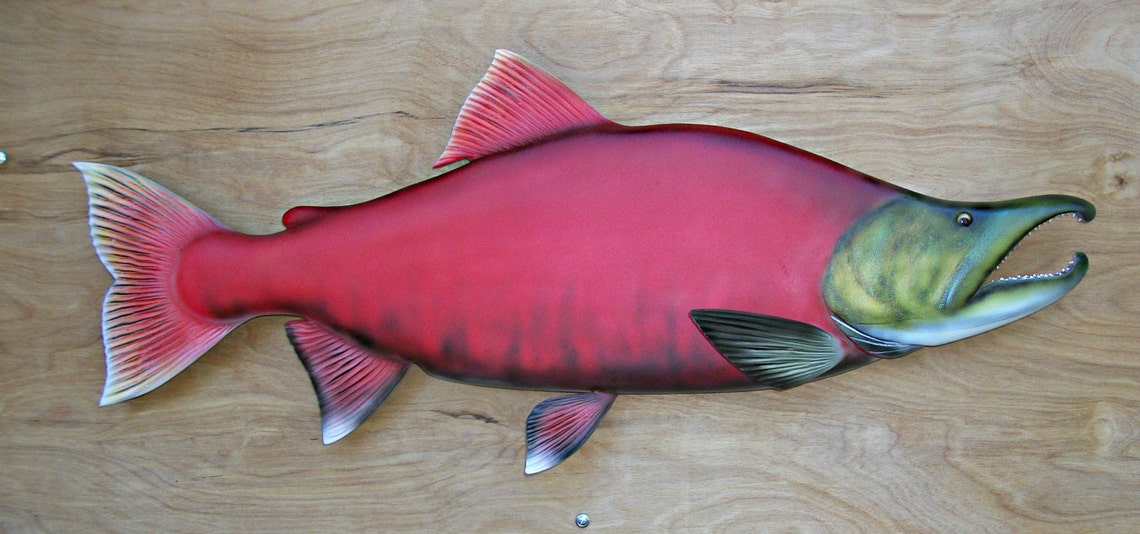 SOCKEYE SALMON wood carving 30'' fishing decor Etsy