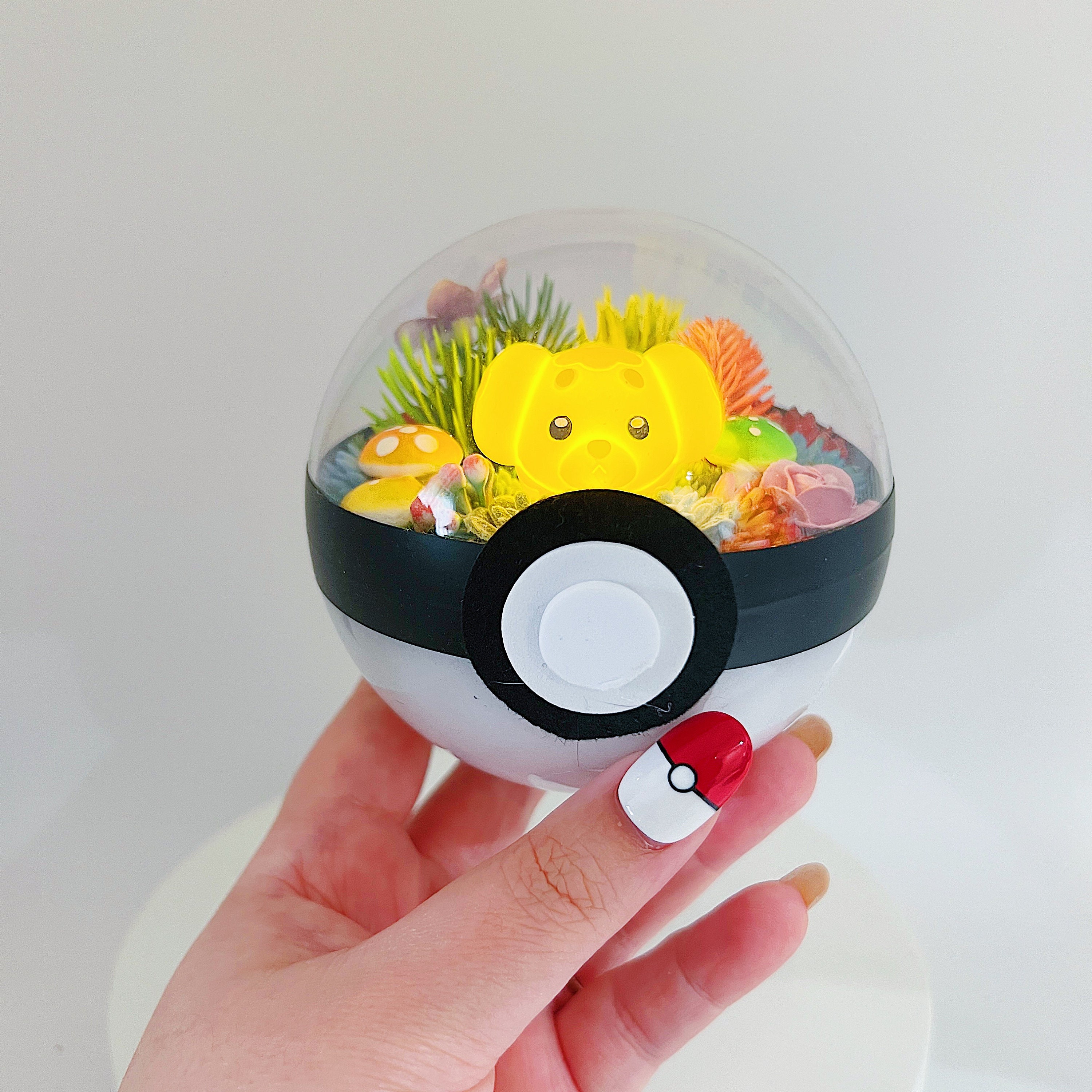 Fidough Light Terrarium Pokeball