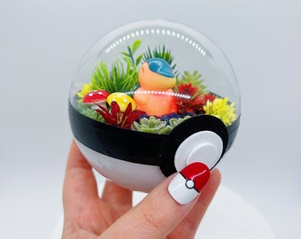 LIGHT UP Cyndaquil Terrarium Pokeball