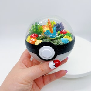 LIGHT UP Quilava Terrarium Pokeball