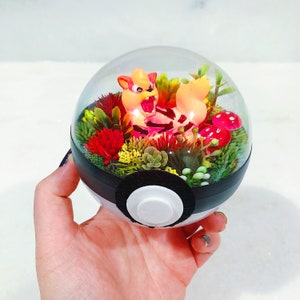 Arcanine Light Terrarium Pokeball