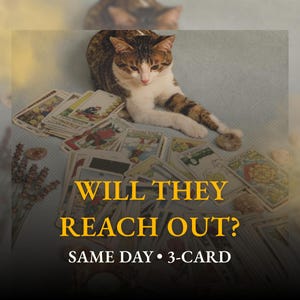 Puede incluir: Un gato atigrado descansa entre una baraja de cartas del tarot. Las cartas están dispuestas en forma de abanico, con el texto dorado "WILL THEY REACH OUT?". Debajo, el texto dice "SAME DAY • 3-CARD".
