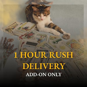 May include: A tabby cat rests on a light blue surface surrounded by tarot cards. The text "1 HOUR RUSH DELIVERY ADD-ON ONLY" is displayed in yellow. Dried lavender and crystals are also present.