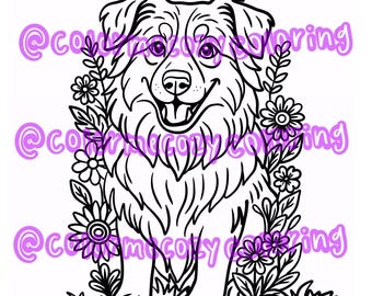 Border Collie Flower Print