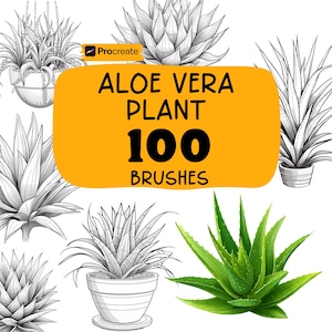 Pode incluir: Uma imagem com ilustrações de plantas de aloe vera e uma planta de aloe vera verde vibrante. A imagem inclui o texto "ALOE VERA PLANT 100 BRUSHES" em um fundo amarelo, com o logotipo Procreate no canto superior esquerdo.
