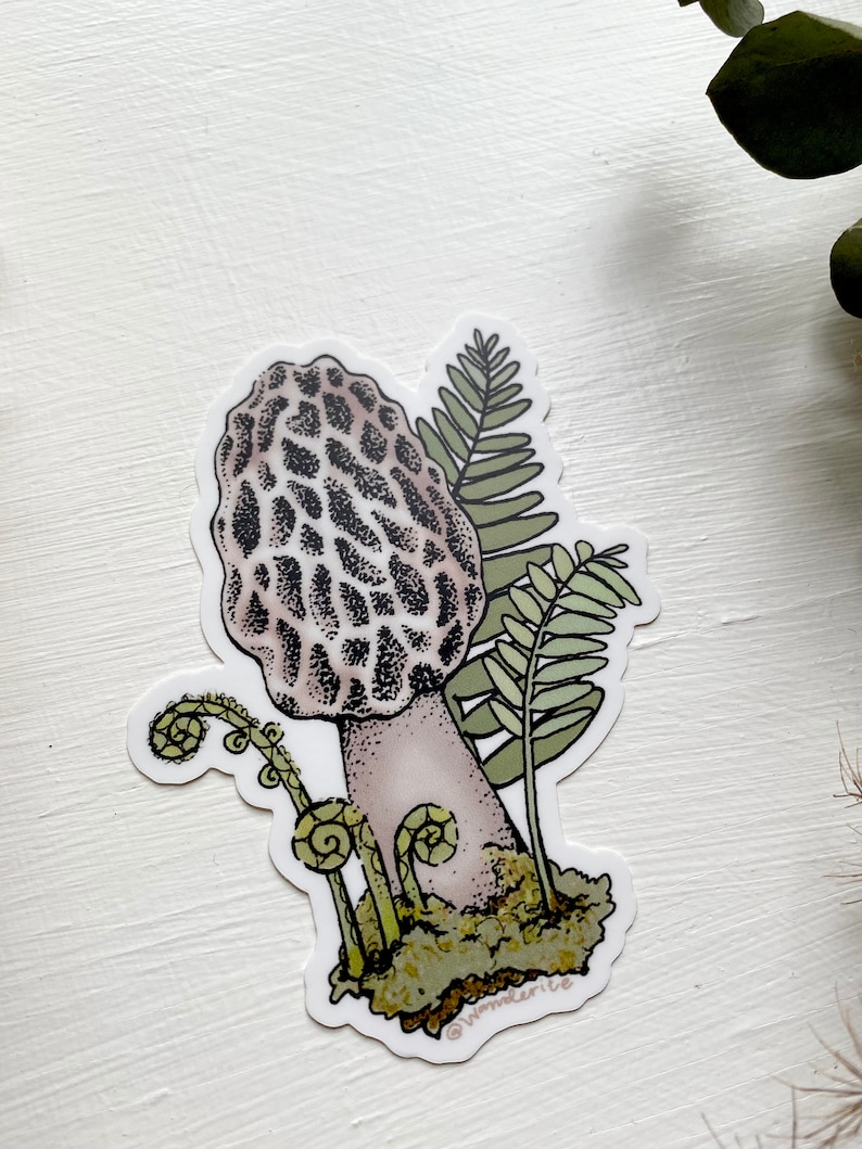 Morel Mushroom Sticker Etsy
