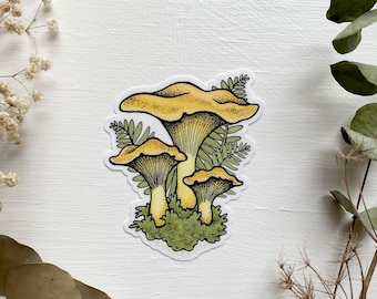 Chanterelle Mushroom Sticker