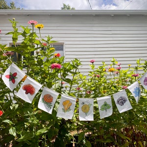 Rainbow Herbs | Prayer Flags