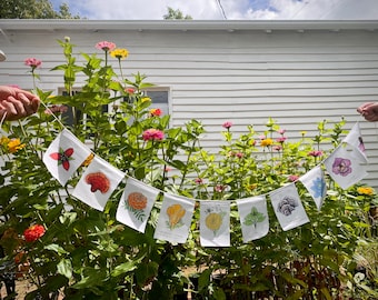 Rainbow Herbs | Prayer Flags