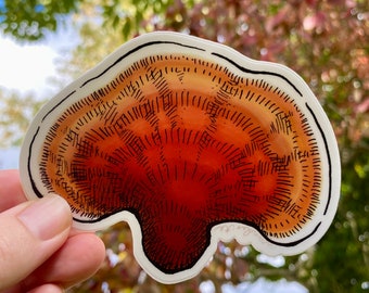 Reishi Mushroom Sticker