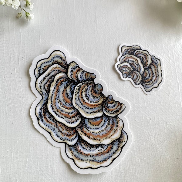 トルコのしっぽのキノコのステッカー | ペア