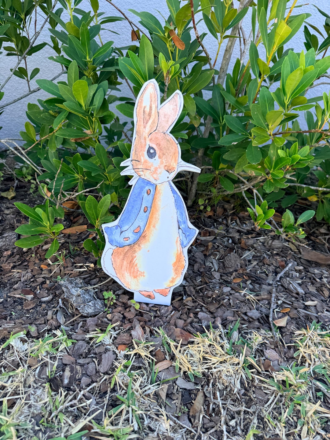 Peter Rabbit Foam Board Cutout – Rabbit Party Decoration, Photo Booth ...