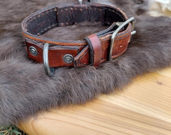 Leather Dog Collar, Celtic Knot