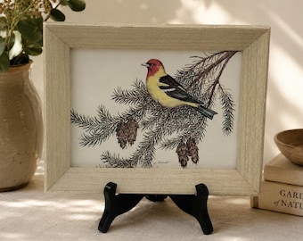 Vintage James Lockhart Signed Western Tanager Print, Smithsonian Artist Wildlife Illustration