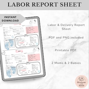 May include: A digital Labor & Delivery Report Sheet, featuring sections for medical history, baby details, and support information. The printable PDF includes spaces for two moms and two babies, with a floral logo in the corner.