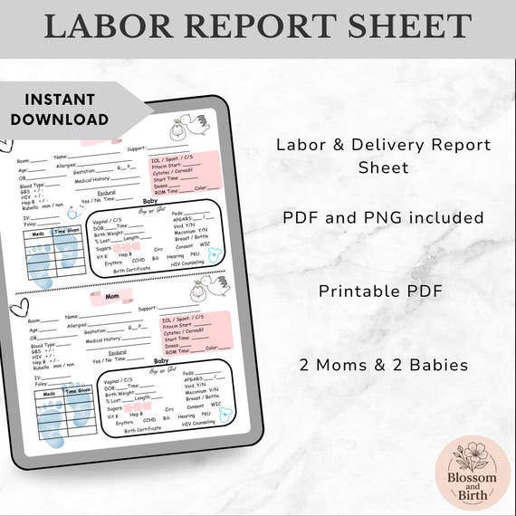 Printable Labor & Delivery Report Sheet | L andD Nurse Report | OB Nurse Template | Digital Download (PDF)