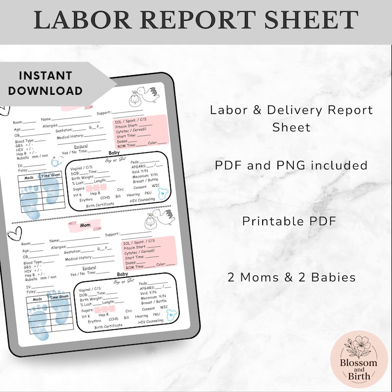 May include: A digital Labor & Delivery Report Sheet, with sections for medical history and baby details. The printable PDF includes spaces for two mothers and two babies. The sheet has a floral logo in the corner.