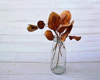 Dried Jacaranda Seed Pods with Stems: Floral Decor, Botanical Art Supplies