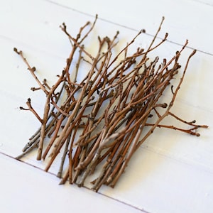 May include: A collection of thin, brown, natural wooden twigs arranged in a loose bundle. Each twig features a textured bark surface with small, protruding buds along the stems and branching ends, creating a dense, organic cluster.
