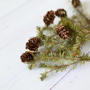 May include: A cluster of evergreen branches featuring several small, brown, textured pinecones attached to the needles. The branches are green with thin, needle-like leaves, and the pinecones are arranged along the stems in a natural formation.