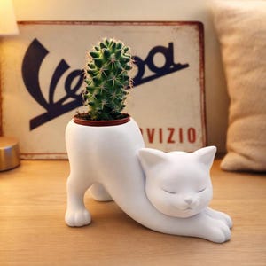 May include: A white ceramic cat-shaped planter with a green cactus. The cat is in a stretching pose, with its eyes closed. The planter is on a wooden surface, with a vintage sign in the background.
