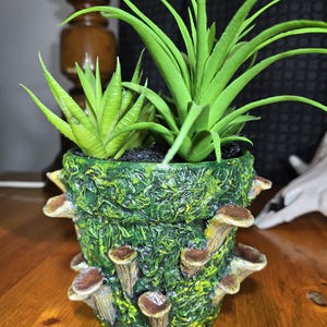 Może przedstawiać: Ozdobna zielona ceramiczna donica z teksturowanym, mszystym zewnętrzem i kilkoma brązowymi akcentami grzybów. Donica zawiera dwa rodzaje zielonych sztucznych roślin. Donica stoi na drewnianej powierzchni.