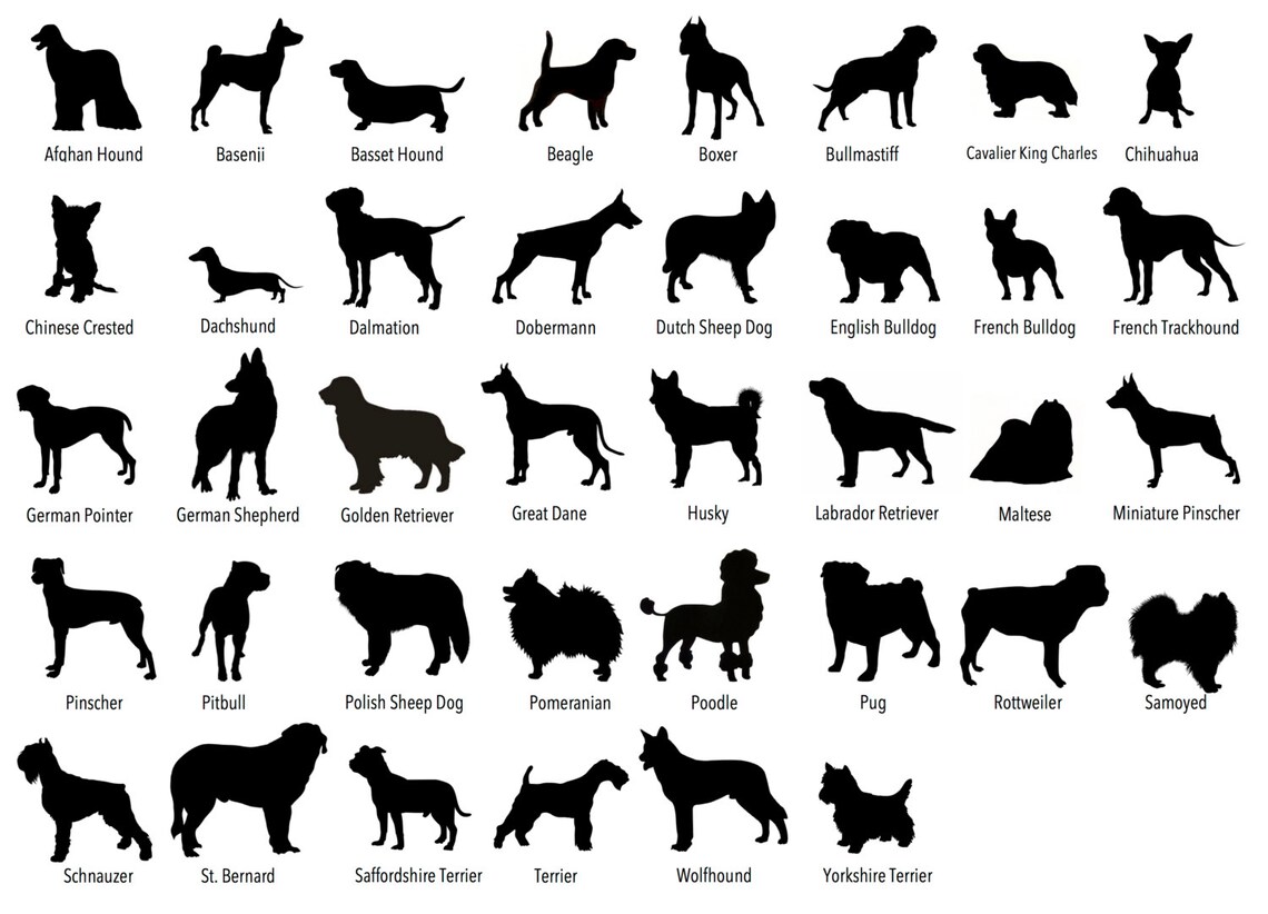 Dog Stationery With Lined Envelopes Custom Dog Stationery Etsy