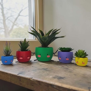 May include: A row of five colorful, round planters with cartoon faces and black wire legs. Each planter holds a different succulent plant. The planters are blue, red, green, purple, and yellow, and are arranged on a wooden surface.