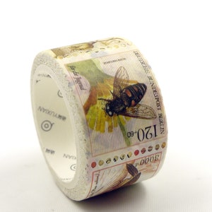 Insect Japanese Washi Masking Tape 25mm wide 5.5 yard image 1