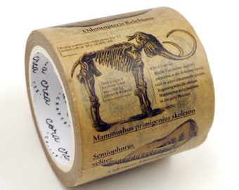 Fossil - Japanese Washi Masking Paper Tape - 40mm wide - 7.6 yard