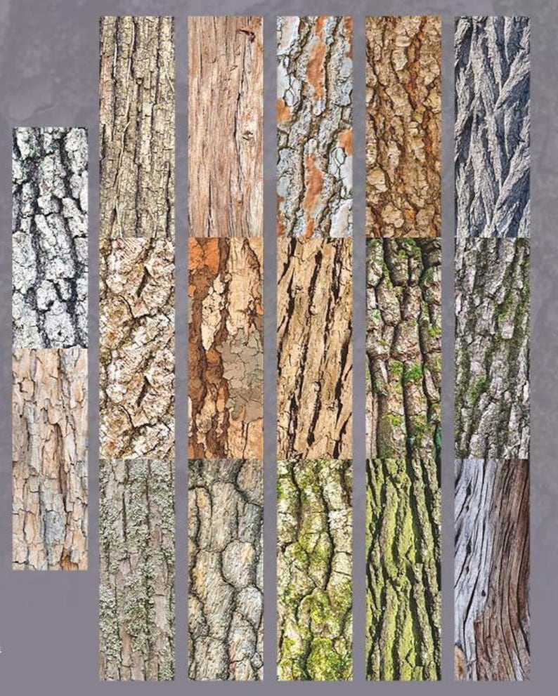 Peut inclure: Une collection d'images rectangulaires pr&eacute;sentant diverses textures d'&eacute;corce d'arbre. Les &eacute;chantillons d'&eacute;corce affichent une gamme de couleurs, notamment des bruns, des gris et des verts, avec des motifs vari&eacute;s, de lisses &agrave; profond&eacute;ment sillonn&eacute;s, pour des designs sur le th&egrave;me de la nature.