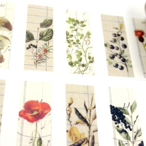 Plantas con semillas, Cinta adhesiva japonesa de papel washi, 50 mm de ancho, 3,3 yardas