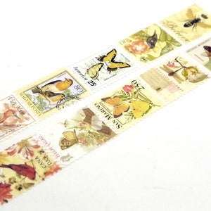 Insect Japanese Washi Masking Tape 25mm wide 5.5 yard image 7