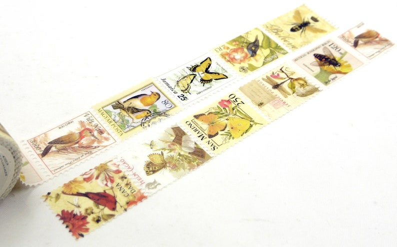 Insect Japanese Washi Masking Tape 25mm wide 5.5 yard image 7