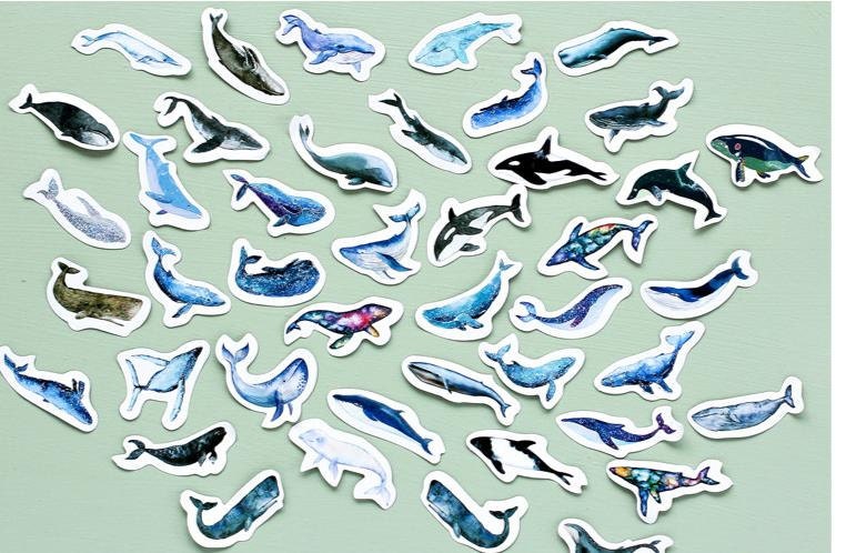 Paper Deco Label Seal Set Whale 45 Pcs | Etsy