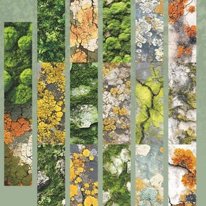 Peut inclure: Un collage d'images rectangulaires verticales pr&eacute;sentant diverses textures et couleurs naturelles. Les images montrent des gros plans de mousse, de lichen et d'&eacute;corce d'arbre, avec des nuances de vert, de jaune, d'orange et de brun. Le th&egrave;me g&eacute;n&eacute;ral est naturel et terreux.
