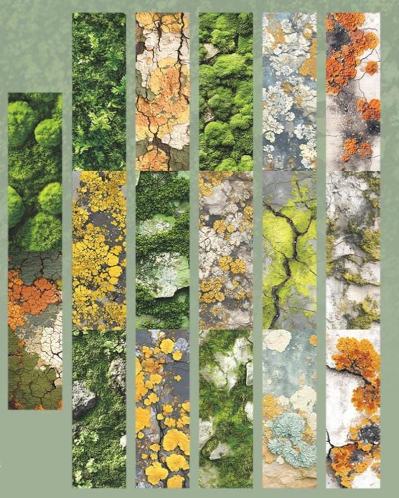 Peut inclure: Un collage d'images rectangulaires verticales pr&eacute;sentant diverses textures et couleurs naturelles. Les images montrent des gros plans de mousse, de lichen et d'&eacute;corce d'arbre, avec des nuances de vert, de jaune, d'orange et de brun. Le th&egrave;me g&eacute;n&eacute;ral est naturel et terreux.