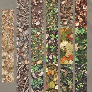 Peut inclure: Un collage de panneaux verticaux pr&eacute;sentant diverses textures naturelles. Les panneaux affichent des gros plans de sols forestiers, notamment des aiguilles de pin, des brindilles, des feuilles et des champignons dans des tons de brun, de vert et d'orange.