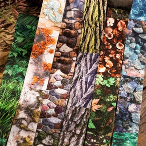 Peut inclure: Une collection de marque-pages d&eacute;coratifs avec des motifs inspir&eacute;s de la nature. Les marque-pages pr&eacute;sentent des images d&eacute;taill&eacute;es d'&eacute;corce d'arbre, de pierres, de mousse et d'eau, avec des couleurs vari&eacute;es comme le vert, le marron et le bleu. Les marque-pages sont dispos&eacute;s en biais.