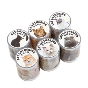 5 Cats - Japanese PET Masking Tape - 50mm wide - 2.2 yard - 5 rolls - No discount