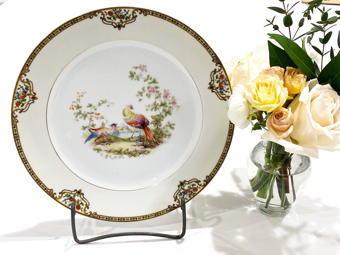 Vintage Noritake Chelsea Birds Pattern Fine China Dinner Plate Etsy