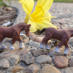 Horse Cufflinks, Lapel Pins, Tie Bars, Earrings, Jewelry and Accessories