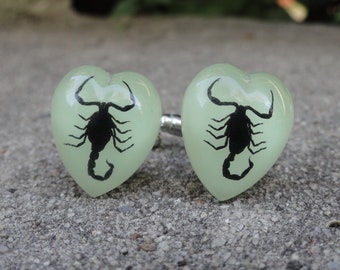 Glow in the Dark Scorpion Cufflinks, Lapel Pins, Tie Bars, Earrings, Jewelry and Accessories