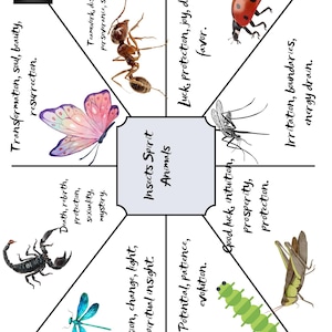 Insect Spirit Animals Guide | Insect Symbolism & Spiritual Meanings | Bug Totem Reference Book | Nature Symbolism Digital